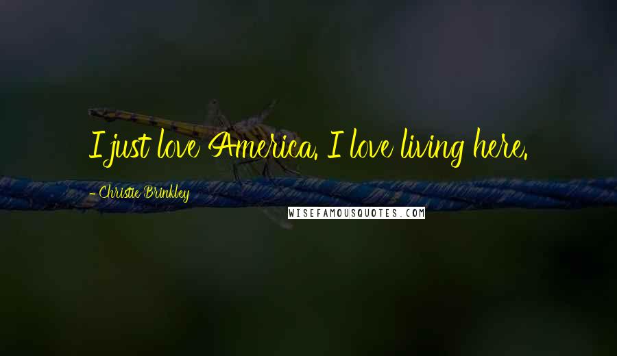 Christie Brinkley Quotes: I just love America. I love living here.