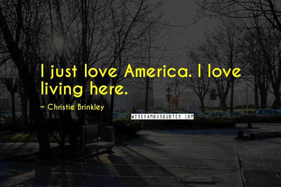 Christie Brinkley Quotes: I just love America. I love living here.