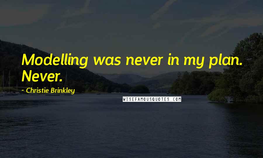 Christie Brinkley Quotes: Modelling was never in my plan. Never.