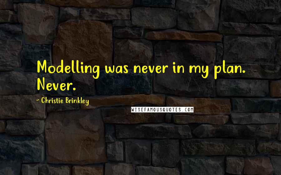 Christie Brinkley Quotes: Modelling was never in my plan. Never.