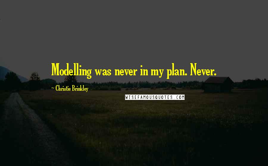 Christie Brinkley Quotes: Modelling was never in my plan. Never.