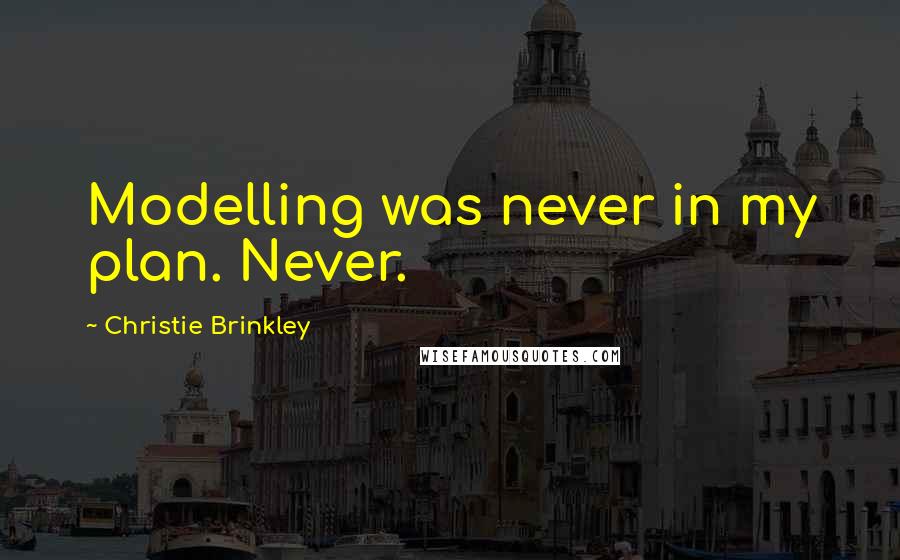 Christie Brinkley Quotes: Modelling was never in my plan. Never.