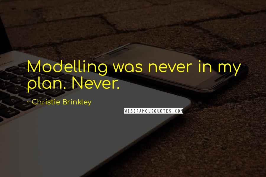 Christie Brinkley Quotes: Modelling was never in my plan. Never.