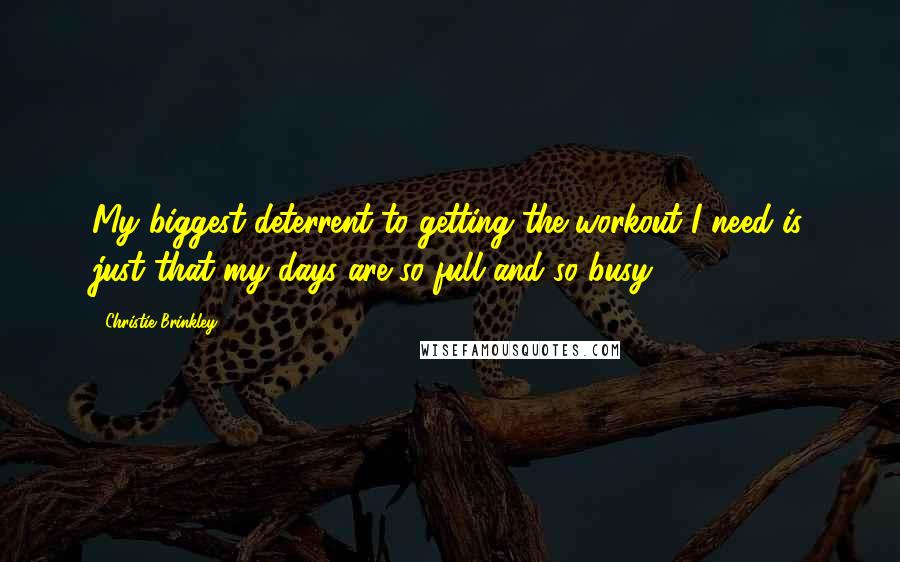 Christie Brinkley Quotes: My biggest deterrent to getting the workout I need is just that my days are so full and so busy.