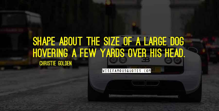 Christie Golden Quotes: shape about the size of a large dog hovering a few yards over his head.