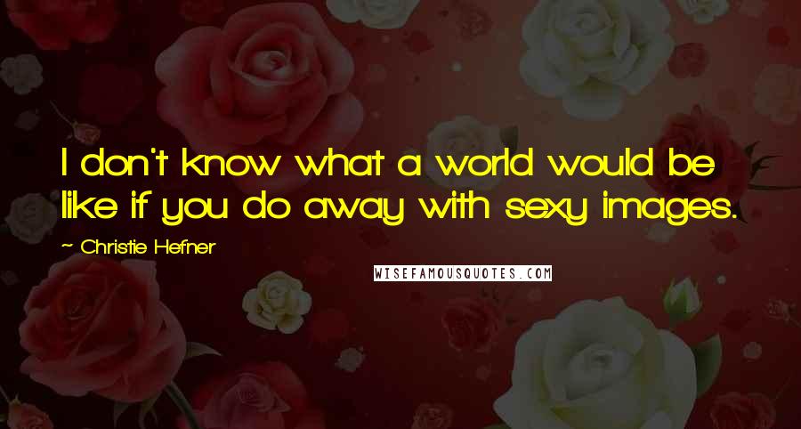 Christie Hefner Quotes: I don't know what a world would be like if you do away with sexy images.