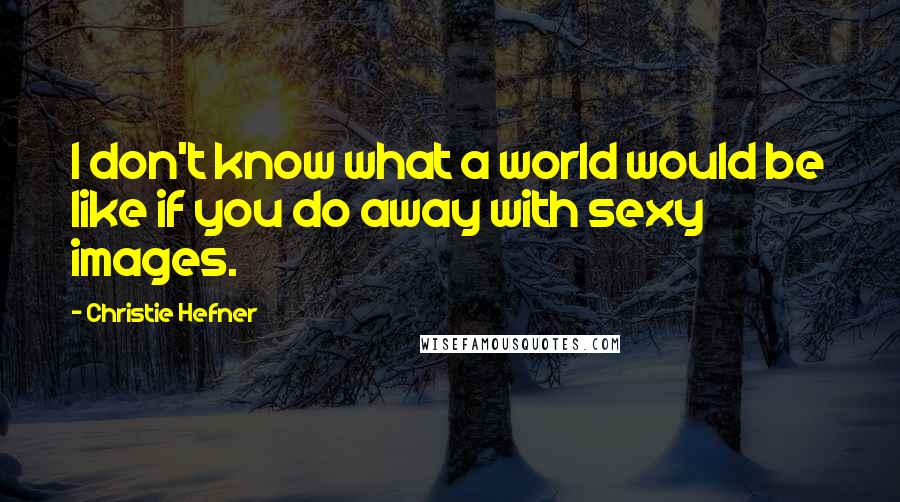 Christie Hefner Quotes: I don't know what a world would be like if you do away with sexy images.