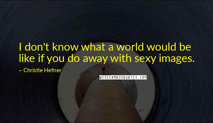 Christie Hefner Quotes: I don't know what a world would be like if you do away with sexy images.