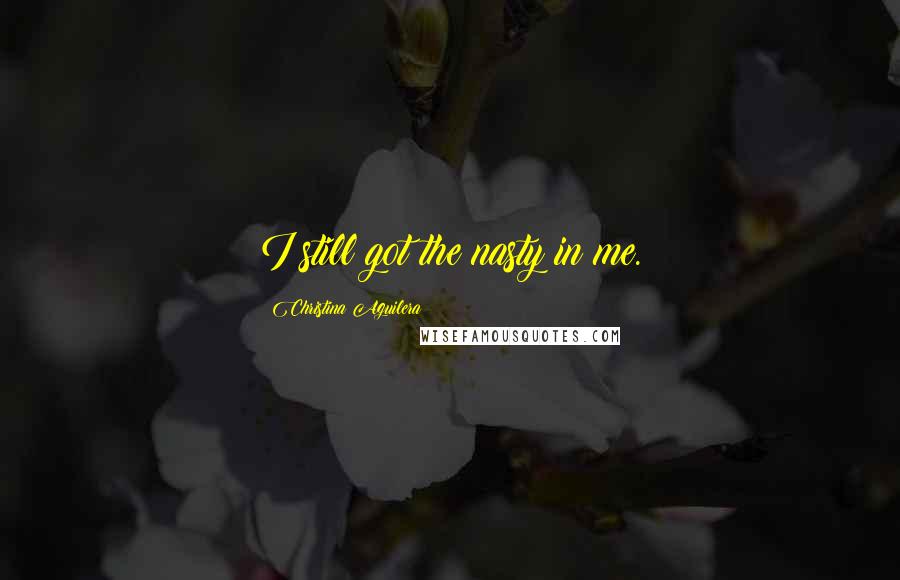 Christina Aguilera Quotes: I still got the nasty in me.