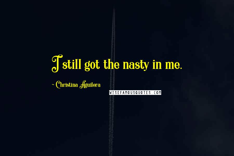 Christina Aguilera Quotes: I still got the nasty in me.