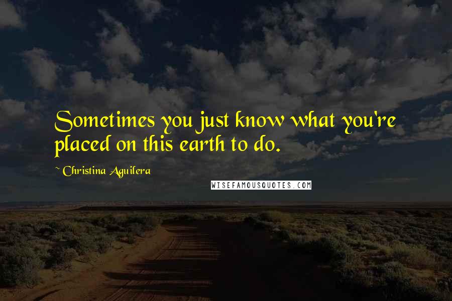 Christina Aguilera Quotes: Sometimes you just know what you're placed on this earth to do.