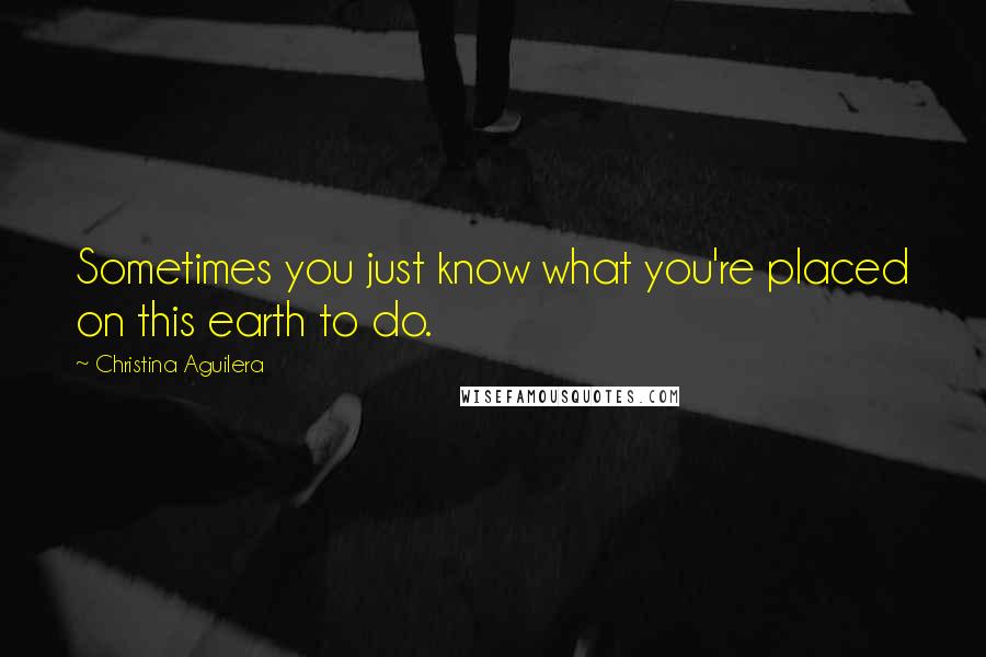 Christina Aguilera Quotes: Sometimes you just know what you're placed on this earth to do.