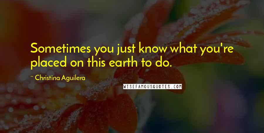 Christina Aguilera Quotes: Sometimes you just know what you're placed on this earth to do.