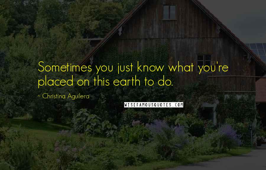 Christina Aguilera Quotes: Sometimes you just know what you're placed on this earth to do.