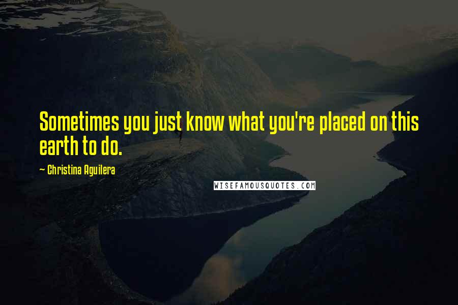 Christina Aguilera Quotes: Sometimes you just know what you're placed on this earth to do.