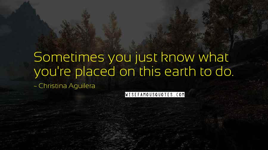 Christina Aguilera Quotes: Sometimes you just know what you're placed on this earth to do.