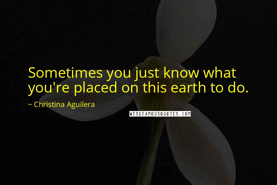 Christina Aguilera Quotes: Sometimes you just know what you're placed on this earth to do.