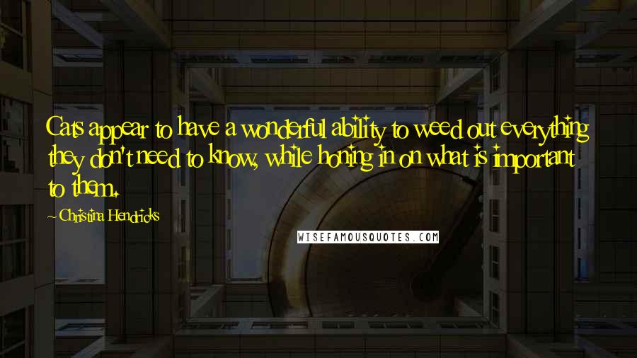 Christina Hendricks Quotes: Cats appear to have a wonderful ability to weed out everything they don't need to know, while honing in on what is important to them.