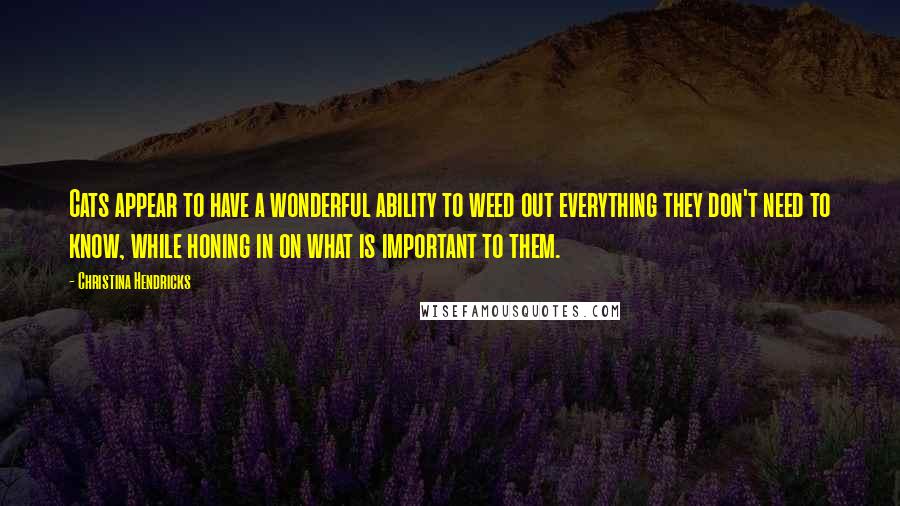 Christina Hendricks Quotes: Cats appear to have a wonderful ability to weed out everything they don't need to know, while honing in on what is important to them.