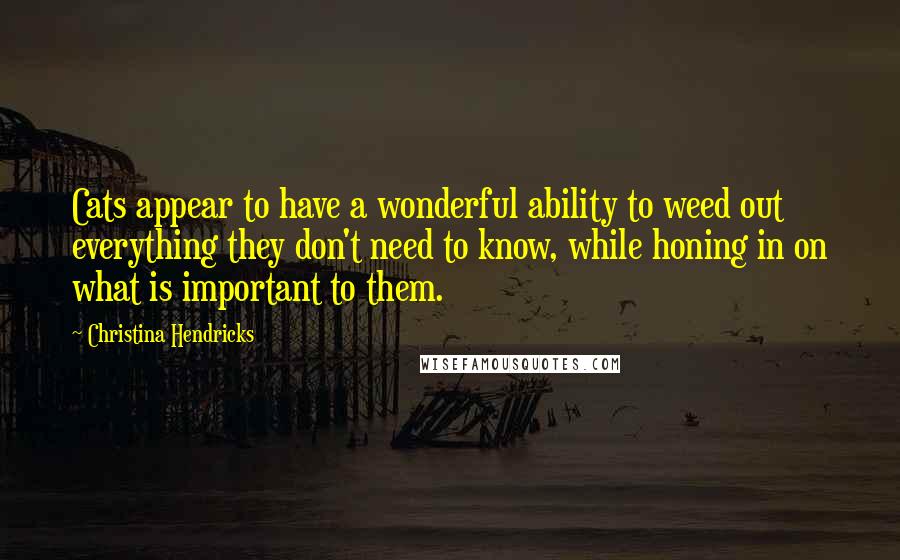 Christina Hendricks Quotes: Cats appear to have a wonderful ability to weed out everything they don't need to know, while honing in on what is important to them.