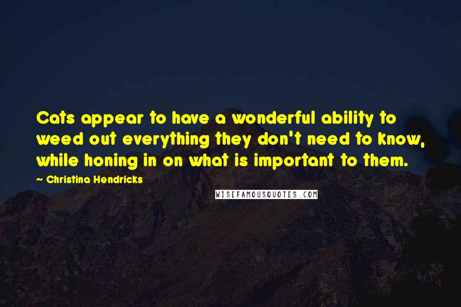 Christina Hendricks Quotes: Cats appear to have a wonderful ability to weed out everything they don't need to know, while honing in on what is important to them.