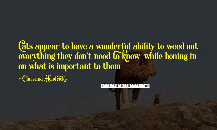 Christina Hendricks Quotes: Cats appear to have a wonderful ability to weed out everything they don't need to know, while honing in on what is important to them.