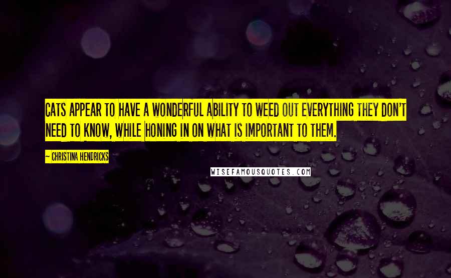 Christina Hendricks Quotes: Cats appear to have a wonderful ability to weed out everything they don't need to know, while honing in on what is important to them.