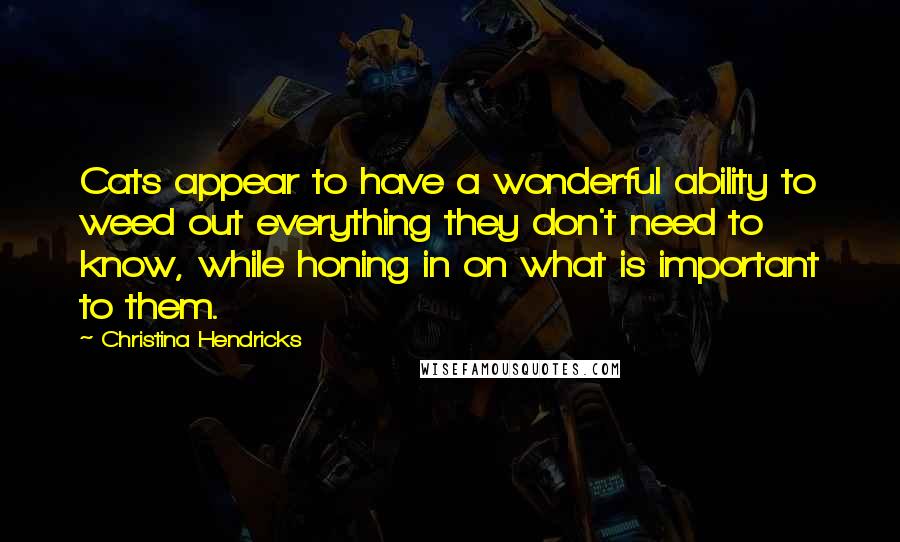 Christina Hendricks Quotes: Cats appear to have a wonderful ability to weed out everything they don't need to know, while honing in on what is important to them.