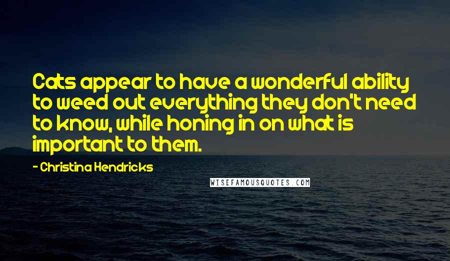 Christina Hendricks Quotes: Cats appear to have a wonderful ability to weed out everything they don't need to know, while honing in on what is important to them.