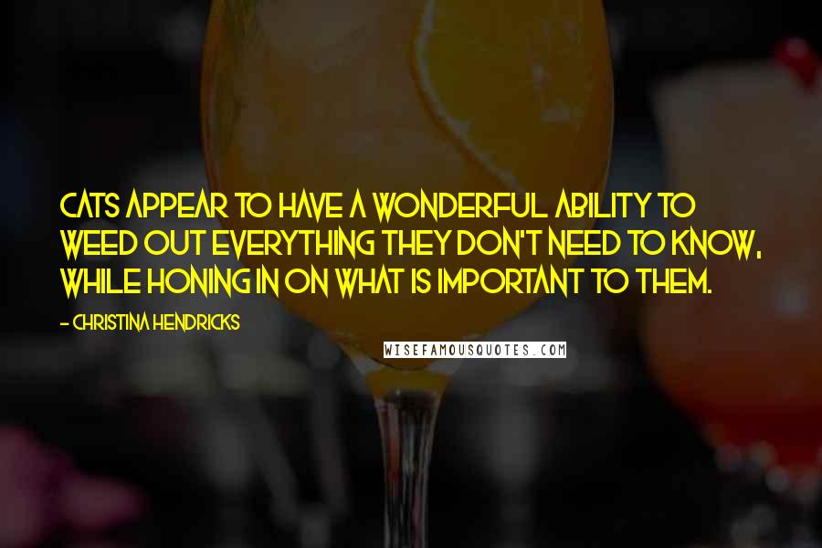 Christina Hendricks Quotes: Cats appear to have a wonderful ability to weed out everything they don't need to know, while honing in on what is important to them.