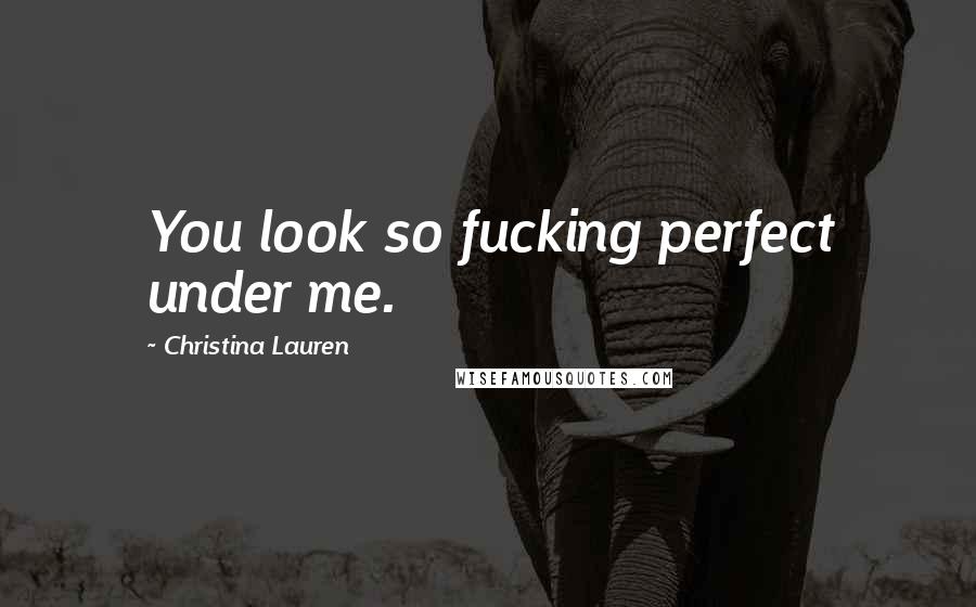 Christina Lauren Quotes: You look so fucking perfect under me.