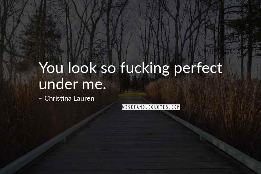 Christina Lauren Quotes: You look so fucking perfect under me.