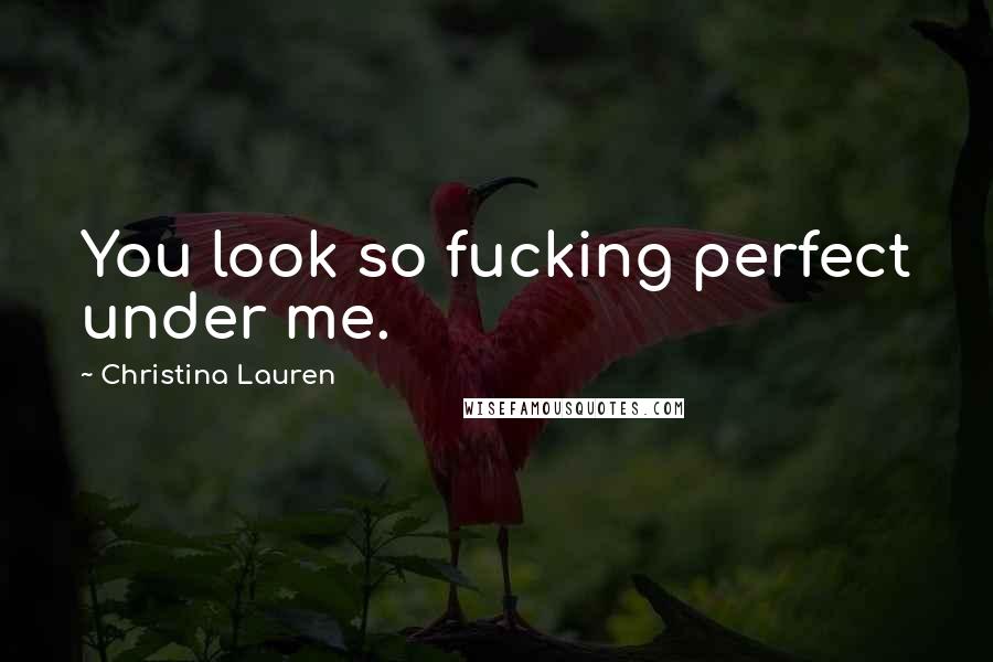 Christina Lauren Quotes: You look so fucking perfect under me.