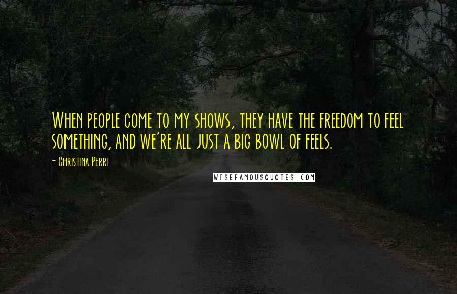 Christina Perri Quotes: When people come to my shows, they have the freedom to feel something, and we're all just a big bowl of feels.
