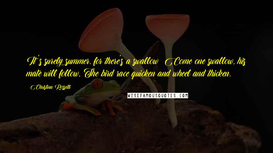 Christina Rossetti Quotes: It's surely summer. for there's a swallow: Come one swallow, his mate will follow, The bird race quicken and wheel and thicken.