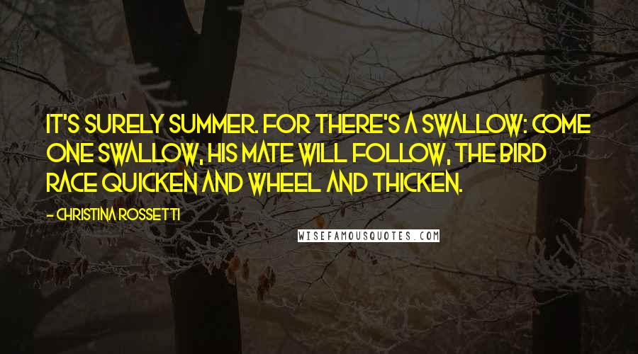 Christina Rossetti Quotes: It's surely summer. for there's a swallow: Come one swallow, his mate will follow, The bird race quicken and wheel and thicken.