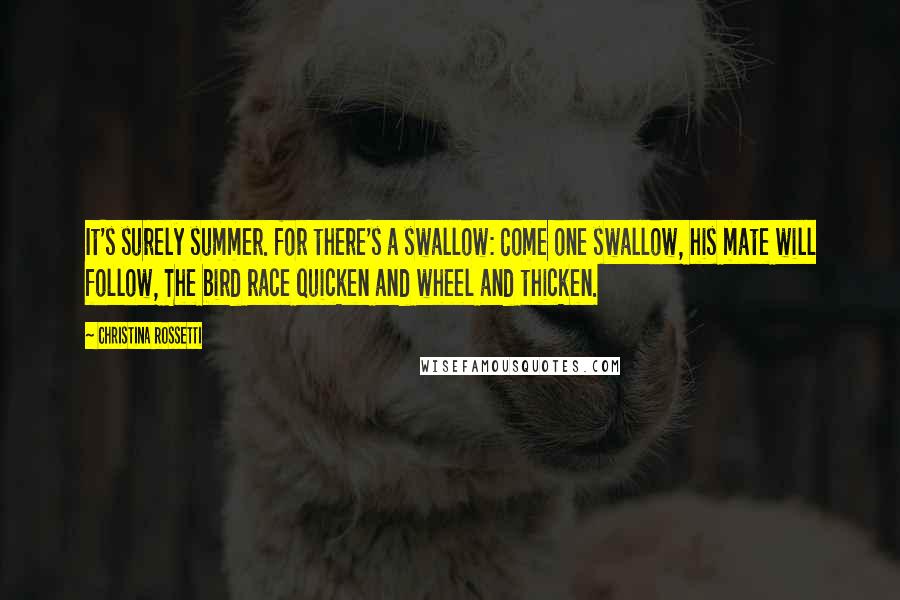 Christina Rossetti Quotes: It's surely summer. for there's a swallow: Come one swallow, his mate will follow, The bird race quicken and wheel and thicken.
