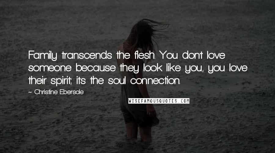 Christine Ebersole Quotes: Family transcends the flesh. You don't love someone because they look like you, you love their spirit; it's the soul connection.