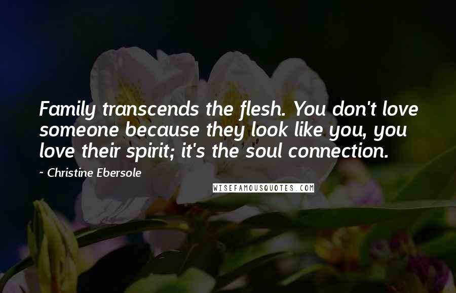 Christine Ebersole Quotes: Family transcends the flesh. You don't love someone because they look like you, you love their spirit; it's the soul connection.