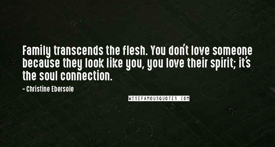 Christine Ebersole Quotes: Family transcends the flesh. You don't love someone because they look like you, you love their spirit; it's the soul connection.