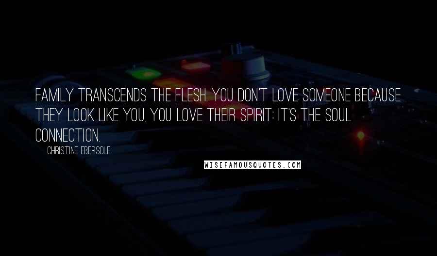 Christine Ebersole Quotes: Family transcends the flesh. You don't love someone because they look like you, you love their spirit; it's the soul connection.