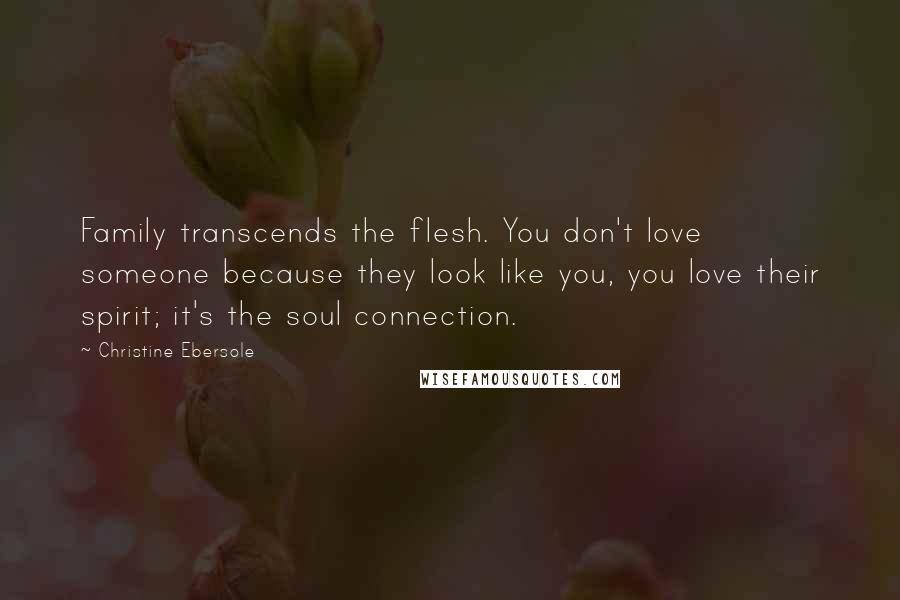 Christine Ebersole Quotes: Family transcends the flesh. You don't love someone because they look like you, you love their spirit; it's the soul connection.