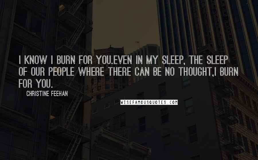 Christine Feehan Quotes: I know I burn for you.Even in my sleep, the sleep of our people where there can be no thought,I burn for you.