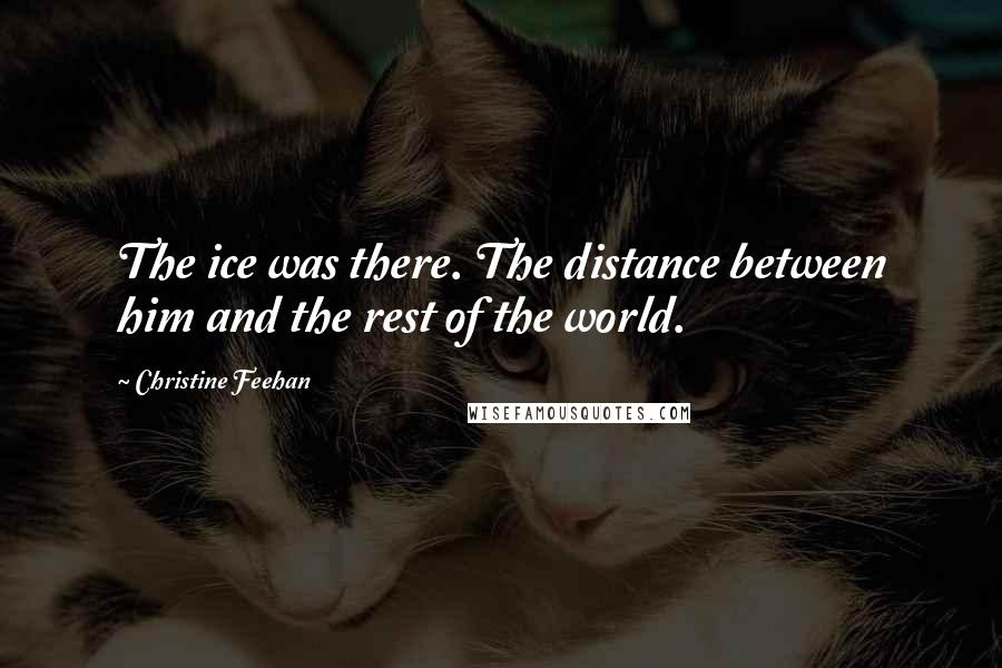 Christine Feehan Quotes: The ice was there. The distance between him and the rest of the world.