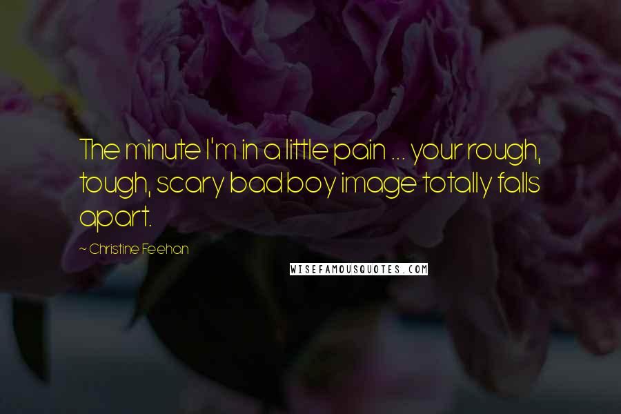 Christine Feehan Quotes: The minute I'm in a little pain ... your rough, tough, scary bad boy image totally falls apart.