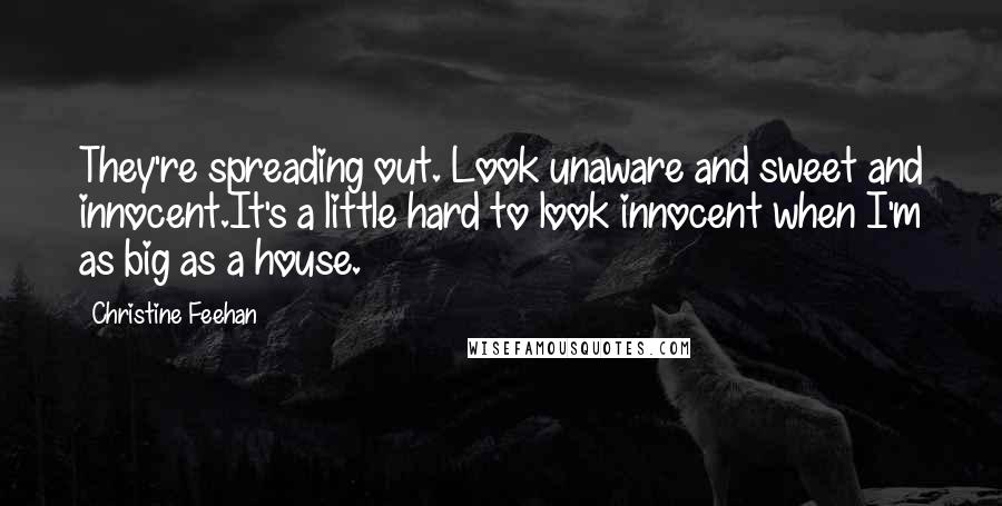 Christine Feehan Quotes: They're spreading out. Look unaware and sweet and innocent.It's a little hard to look innocent when I'm as big as a house.