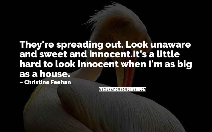 Christine Feehan Quotes: They're spreading out. Look unaware and sweet and innocent.It's a little hard to look innocent when I'm as big as a house.