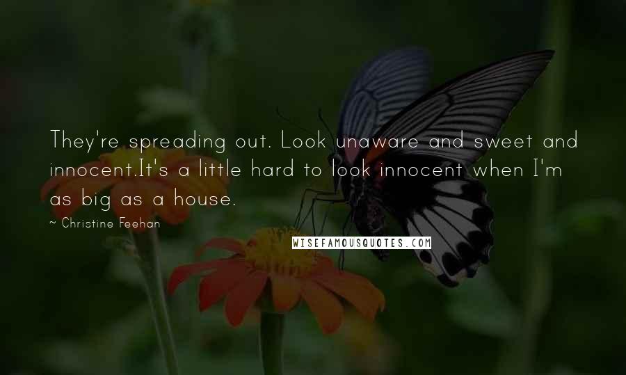 Christine Feehan Quotes: They're spreading out. Look unaware and sweet and innocent.It's a little hard to look innocent when I'm as big as a house.