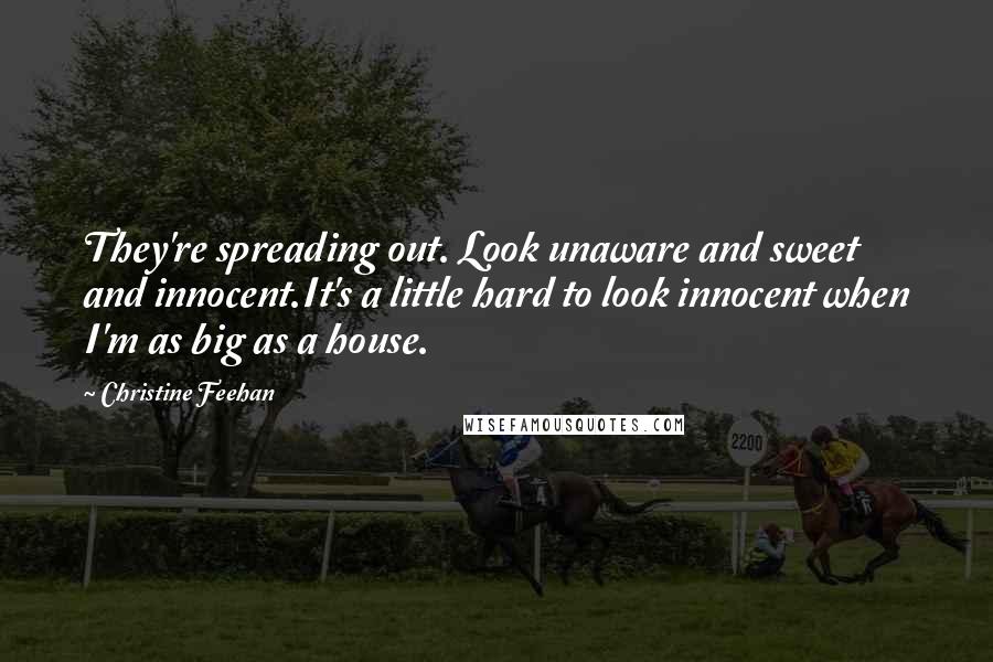 Christine Feehan Quotes: They're spreading out. Look unaware and sweet and innocent.It's a little hard to look innocent when I'm as big as a house.
