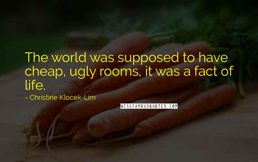 Christine Klocek-Lim Quotes: The world was supposed to have cheap, ugly rooms, it was a fact of life.